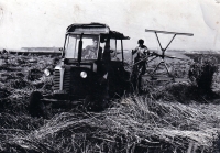 Jan Tichý (vpravo) na letní brigádě v JZD v Ostravě-Porubě /  kolem roku 1960