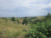 Gemelčička v roce 2012