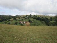 Gemelčička v roce 2012