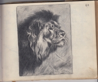 Obrázky, které Oldřich Kothbauer kreslil ve vězení své dceři Jitce