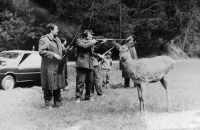 Laň Silva během honu, kterou rodina ochočila