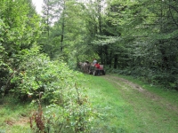 V Gemelčičce v roce 2012