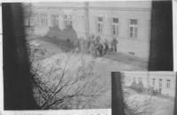 Kopie fotografie zatčených studentů na dvoře chotěbořského soudu. Soukromý archiv Michaely Dostálové Frühbauerové