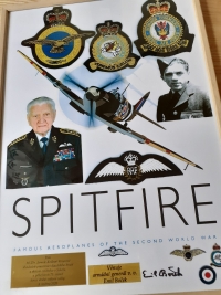 Spitfire, na kterém létal armádní generál v. v. Emil Boček, poslední žijící letec stíhač Royal Air Force (RAF), 8. května 2020