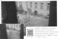 The arrested students from Chotěboř stacking wood in the prison of the Chotěboř court, assisted by armed prison guar. Photo taken from the attic of the Brychts´ house in January 1949, Michaela Dostálová Frühbauerová´s private archive