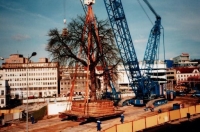 Stěhování památného stromu před výstavbou nového obchodního centra Forum v Liberci, které bylo otevřeno v roce 2009
