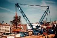 Stěhování památného stromu před výstavbou nového obchodního centra Forum v Liberci
