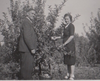 Rodiče pamětníka rok 1946