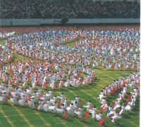 Všesokolský slet v roce 2006