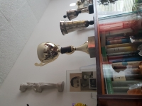 Trofeje Elišky Krejčové