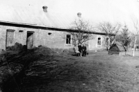 With his parents in front of a farm in Novy Spakov, Volhynia, 1947