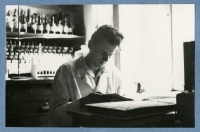 Laboratoř Přírodovědecké fakulty UK (Josefovo pracoviště), polovina 50. let