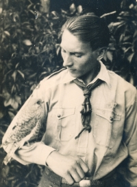 Jiří Vodenka with a kestrel, 1930s