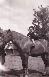 Malý Josef Paul sedí na koni