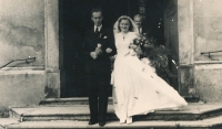Novomanželé Vencovští (1950)