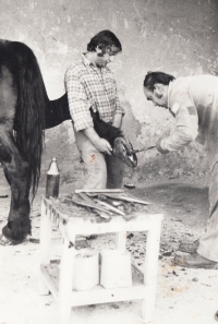 Ladislav Andrlík, kůň Matouš - dokumentace kování několik let nekovaného koně, cca 1980