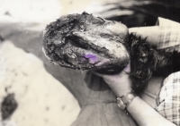 Ladislav Andrlík - kůň Matouš, dokumentace kování několik let nekovaného koně, cca 1980