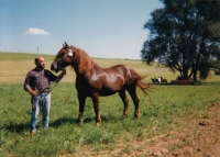 Primátorská hráz, Litomyšl, 1998