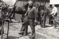 Josef Mlynář has loved horses throughout his life