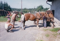V roce 1991 začal Josef Mlynář svoji soukromou činnost