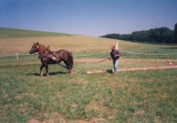 Formanský den se koná od roku 1999, jedna z disciplín - tahání klády