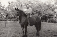 Josef Mlynář, cca 1969