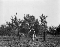 Matka Kristýna Vašáková na zahradě v Moravském Krumlově