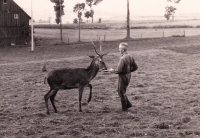 S jelenem, kterého rodina chovala