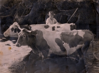 Adolf Kropík (30. léta 20. století)