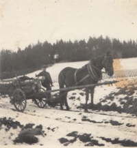 Father with horses, 1945