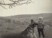 Syn, Březnice, 1965