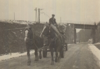 Otec pamětnice Jan Skřipka s koňmi