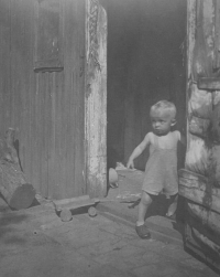 Two-year-old Jindřich Trojan in the countryside near Prague, 1944