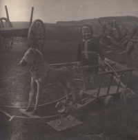 Bratr Vladimír Roušar