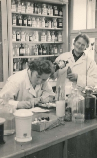 Po měšťance Annu Pešatovou na další studia nepustili (věřící rodina, bratr a strýc kněží, další bratři u PTP), od roku 1952 proto začala pracovat v lékárně jako laborantka