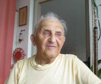 Alois Rozehnal v roce 2011