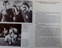 Se spoluhráči z reprezentace i Bohemians Zdeňkem Hruškou a Přemyslem Bičovským; dole je Panenka při utkání se Sovětským svazem v roce 1981 (1:1), po němž Československo postoupilo na MS 1982 ve Španělsku; z knihy Sólo pro Panenku