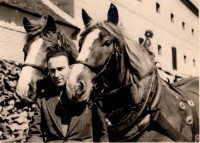 Leoš Poláček, Petrův tatínek při práci na pronajatém statku v Šibicích, 1936