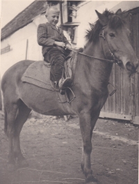 Jaroslav on a horse, Velim, 1946