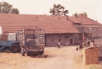 Na dvoře statku ve Velimi, 1958