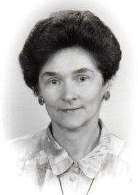 V devadesátých letech 