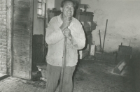 Josef Vopařil znovu hospodaří