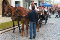 Na kojetínských hodech, 2011