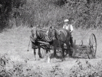 Ladislav Gardavský, 2009