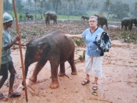 Bohumíra Matulíková na cestách ve sloním sirotčinci na Cejlonu 