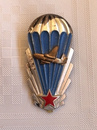 A paratrooper badge 