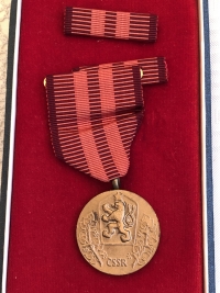 A medal for the service for the homeland 

