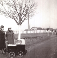 Year-old Marie in a pram with employees of the dairy where her father worked, Bohušovice nad Ohří dairy, 1935