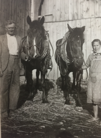 Rodiče Rudolf a Ludmila Kotíkovi s koňmi v Bohdalci
