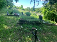zanedbaný masový hrob Židov na cintoríne v Kšinnej, ktorí boli popravení a pochovaní pri Kšinnej